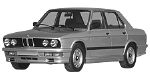 BMW E28 P1096 Fault Code